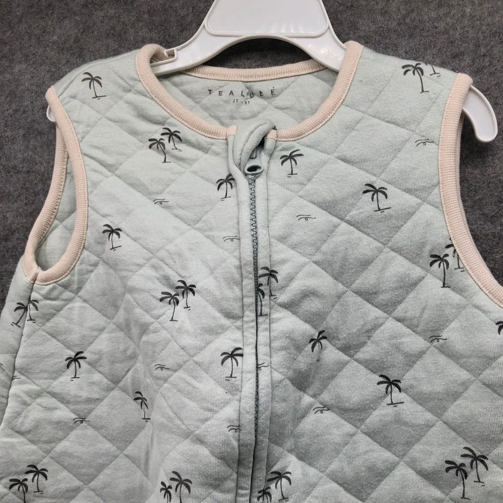 Tealbee dreamsuit toddler